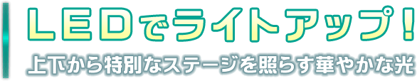 LEDでライトアップ！上下から特別なステージを照らす華やかな光