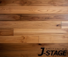 yJ-STAGE X^_[h M[^Cvp ʃfUCV[gz ̊   t[O ~ ؐ ؖ a L