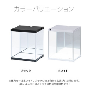 LED�Ɩ��E�w�ʃ~���[�t�� �t�B�M���A�P�[�X J-STAGE �t�u�J�b�g �R���N�V�����P�[�X LED �A�N���� �f�B�X�v���C�P�[�X ���[�^�C�v �w�ʃ~���[ �R���N�V�������b�N led���C�g �V���[�P�[�X �A�N�����P�[�X �l�`�P�[�X �v���X�`�b�N ���{�� ������ ���[