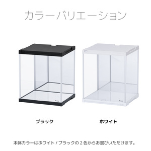 �t�u�J�b�g �w�ʃ~���[�t�� �R���N�V�����P�[�X J-STAGE �t�B�M���A �I �A�N���� ���[�^�C�v �t�B�M���A�P�[�X ��� �A�N�����P�[�X ���� �����` �R���N�V�����{�b�N�X 30 �R���N�V�����{�[�h ���� �V���[�P�[�X �W�F�C�E�X�e�[�W ���{�� ������ ���[