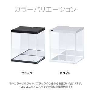 �y�A���ǉ��p�z LED�Ɩ��E�w�ʁE��ʃ~���[�t�� ���ݗp �t�B�M�A�P�[�X J-STAGE �t�u�J�b�g �R���N�V�����P�[�X LED �A�N�����P�[�X �w�ʃ~���[ �L�����I�P�[�X ������ ���[