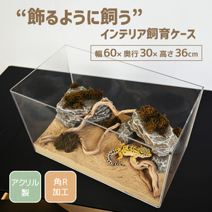 ���َ��繰� W600�~D300�~H360�~t5