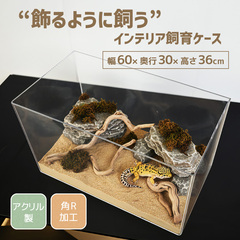 ���َ��繰� W600�~D300�~H360�~t5