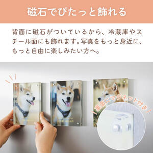 ����ı���B(100x150x18)���Εt