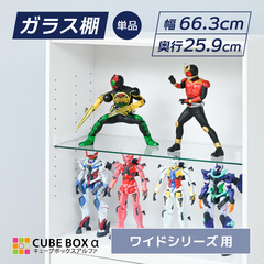 CBW�ECBD�p ��׽�I 663x259x5